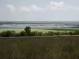 Природа бере своє: На дні Каховського водосховища сформувався рідкісний ліс з 