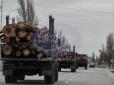 Грабунок триває: Окупанти масово вивозять кримський ліс - очевидці фіксують колони вантажівок