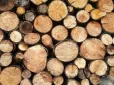 Заготівля дров в Україні: Українцям пояснили, що можна забирати з лісу у 2026 році