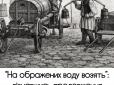 Про коней, характер і воду: Що насправді означає вислів 