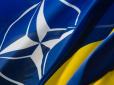 Хіти тижня. Членство України в НАТО: Відомий експерт порівняв програми Порошенка і Зеленського (відео)