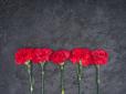 Дочка топ-чиновників з МО і МОЗ розкидала квіти, покладені до могил солдатів (відео)