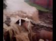 Негода знищила дорогу на Прикарпатті (відео)