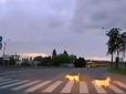 Чемніші за людей: Мережу вразила поведінка песиків на дорозі у Рівному (відео)