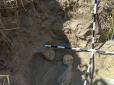 На Житомирщині знайшли масове поховання жінок і дітей (фото, відео)