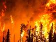 Хіти тижня. Потужні пожежі у Сибіру: Палає 2 млн га лісу, вогонь підбирається до міст, люди тікають (відео)