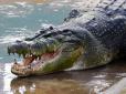 10-річного хлопчика живцем з'їв крокодил на очах у рідних: Нещасний батько знайшов тільки голову та ногу