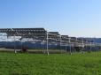Агрофотовольтаіка - революція в сільському господарстві: ​У Бельгії виростили картоплю під сонячними батареями