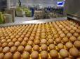 Більше сотні тисяч тонн: Україна збільшила експорт яєць на 40%