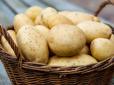 Хіти тижня. На українські ринки завезли отруйну картоплю: Як розпізнати