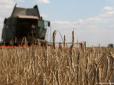 Ринок землі в Україні: Думка німецького фермера (відео)