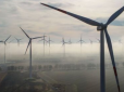Буде найбільшою в Європі: В Україні з'явиться гігантська вітроелектростанція