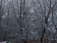 В Україну прийшли перші снігопади: Яскраві фото з різних регіонів