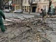 Обірвані проводи і повалені дерева: В Одесі лютує негода (фото, відео)