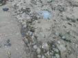 Раніше такого не бачили: У селі поблизу Миколаєва на берег викинуло безліч мертвих медуз (фото, відео)