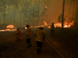 Австралія у вогні: Лісові пожежі набули непереборного характеру