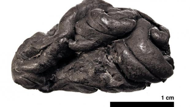 Шматок березової смоли віком 5,7 тисяч років