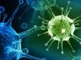 Могли створити в лабораторії: Нові детали спалаху смертельного коронавірусу в Китаї, що нажахав весь світ
