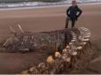 Лох-неське чудовисько? - На узбережжя Шотландії викинуло гігантський скелет невідомої істоти (фотофакт)