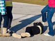 Врятував перехожий: У Києві три дівчинки били ногами по голові безхатченка, який не купив їм алкоголь (відео)