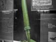 Міномет-лопата: Лопату в часи СРСР придумали використовувати як зброю (фото)