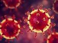 За якої температури коронавірус передається, а за якої гине: Заява медиків