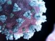 Сумний рекорд: В Італії коронавірус за день вбив майже тисячу людей