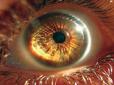 Справжній прорив: Вчені навчилися вирощувати очі