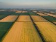 Удар по ініціативі влади: У Раду внесли постанову про скасування запуску ринку землі в Україні