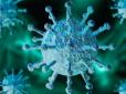 Поширення коронавірусу світом: Американські учені наблизилися до розгадки
