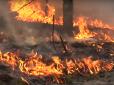 Рятувальники відразу поїхали: Як місцеві самотужки гасили пожежу на Київщині (відео)
