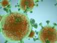 COVID-19 став менш шкідливий: Біолог пояснив природу вірусу
