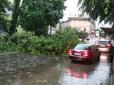 Повалені дерева, затоплені дороги: Потужна буря накрила Львів (фото, відео)
