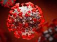 Коронавірус б'є по нервовій системі: Вчені попередили про страшну небезпеку