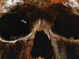 Людина кам'яного віку: Вчені відновили зовнішність чоловіка, який жив 8 тис. років тому (фото)