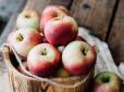 Яблучний Спас 2020: Чого не можна робити на Преображення Господнє 19 серпня