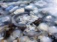 Ризикне купатися не кожен: У мережі показали свіжі фото і відео навали медуз в Азовському морі