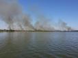 Вогонь стрімко поширюється: Під Херсоном потужна пожежа охопила національний парк (відео)