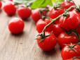 Корисні не усім: Скільки можна їсти томатів без шкоди для здоров'я