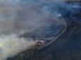 На Миколаївщині у заповіднику сталася пожежа (фото, відео)