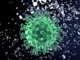 Діє підступно й швидко: Вчені показали, як коронавірус вражає бронхи (фото)
