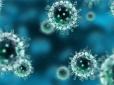 Бережіться! На Україну насуваються чотири штами грипу, перша хвиля буде в жовтні