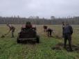Зміна клімату: На півночі України лісгоспи почали висаджувати черешні та персикові дерева
