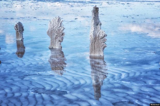 Дерев'яні стовпці покриті візерунками кристалізованої солі