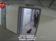 У Києві неадекват по-звірячому побив цуценя і викинув його на мороз: У мережі показали фото шкуродера