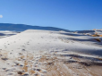 Верблюди в шоці: У пустелі Сахара несподівано випав сніг і ударили морози (фото, відео)