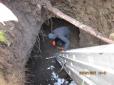 На Волині випадково виявили старовинне підземелля - знахідка заінтригувала багатьох (фото, відео)
