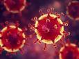Вірус мутує: Медик розповів про наростання епідемії COVID-19 на Закарпатті