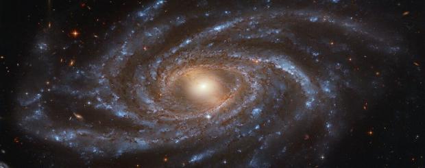 Галактика NGC 2336