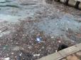 Велика кількість сміття і мертвої риби: Кримчани показали набережну Балаклави (фото)